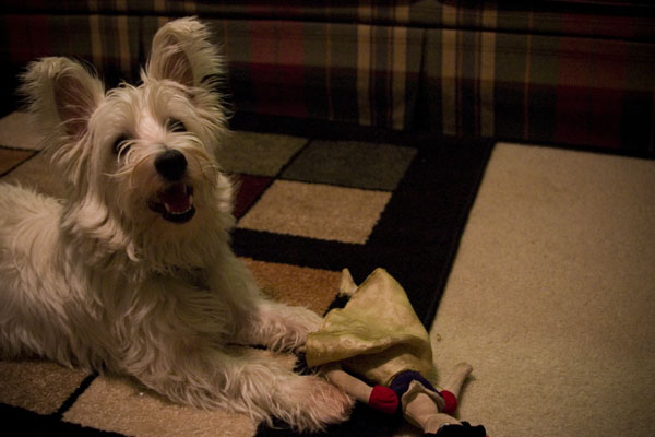 More Oliver